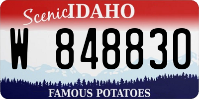 ID license plate W848830