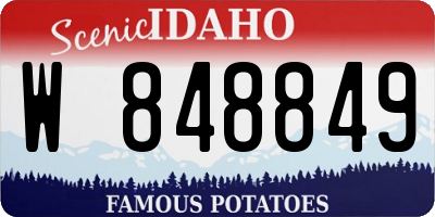 ID license plate W848849