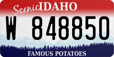 ID license plate W848850