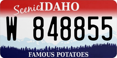 ID license plate W848855