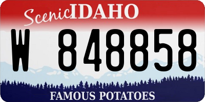 ID license plate W848858