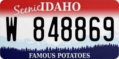 ID license plate W848869