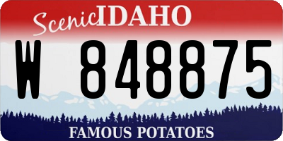 ID license plate W848875