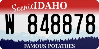 ID license plate W848878