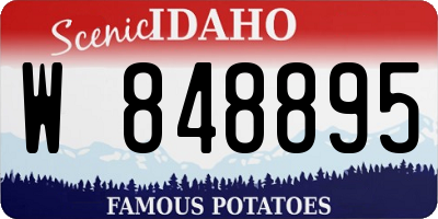 ID license plate W848895