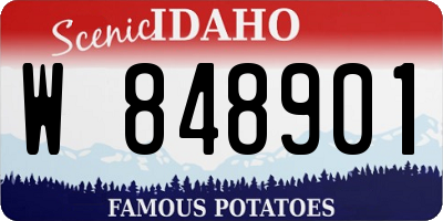 ID license plate W848901