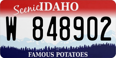 ID license plate W848902