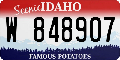 ID license plate W848907