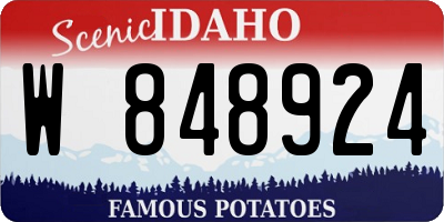 ID license plate W848924