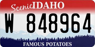 ID license plate W848964