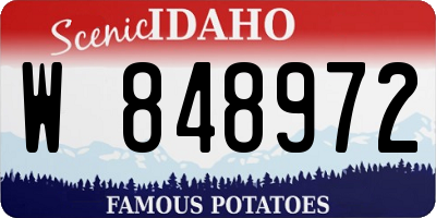 ID license plate W848972
