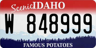 ID license plate W848999