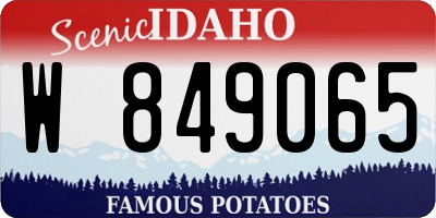 ID license plate W849065