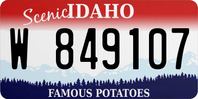 ID license plate W849107