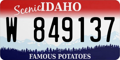 ID license plate W849137