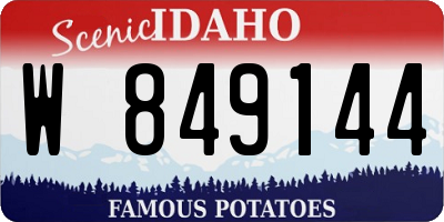 ID license plate W849144
