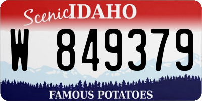 ID license plate W849379
