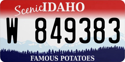 ID license plate W849383