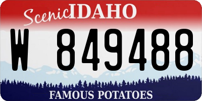ID license plate W849488