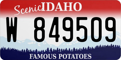 ID license plate W849509