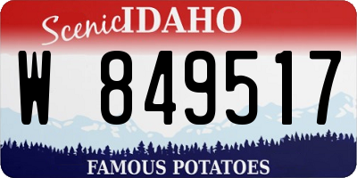 ID license plate W849517