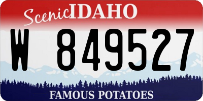 ID license plate W849527