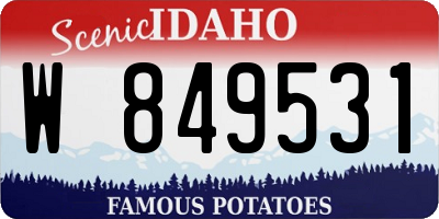 ID license plate W849531