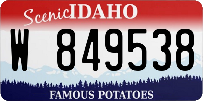 ID license plate W849538