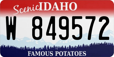 ID license plate W849572