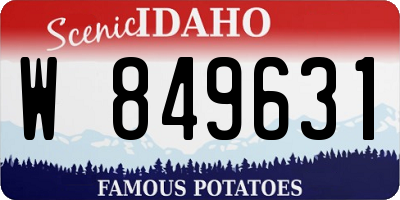 ID license plate W849631