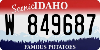 ID license plate W849687