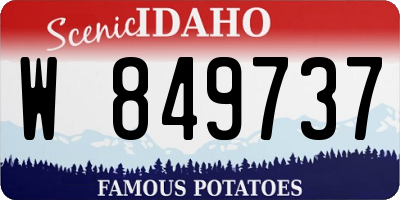 ID license plate W849737