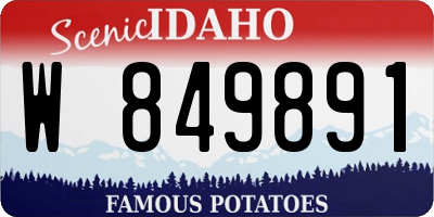 ID license plate W849891