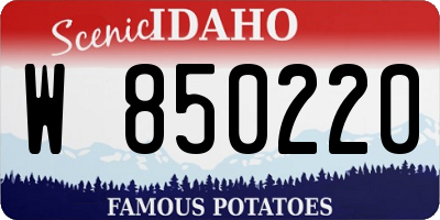 ID license plate W850220