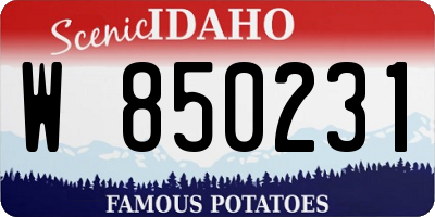 ID license plate W850231