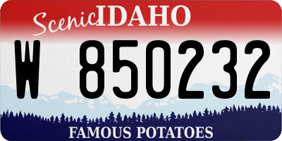 ID license plate W850232
