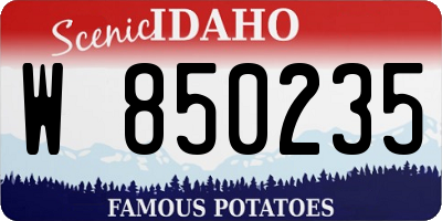 ID license plate W850235