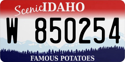ID license plate W850254