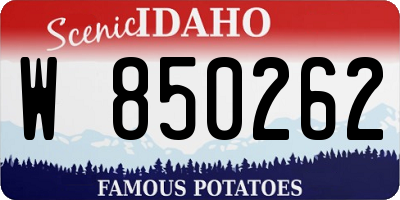 ID license plate W850262
