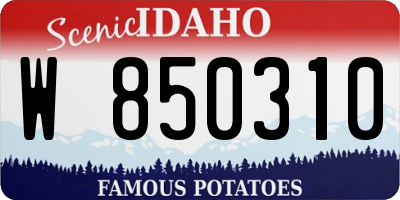 ID license plate W850310