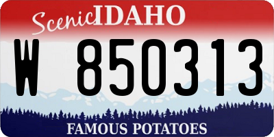 ID license plate W850313