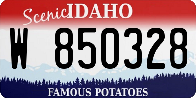 ID license plate W850328