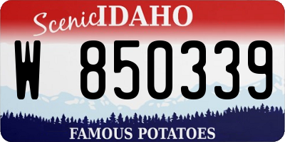 ID license plate W850339