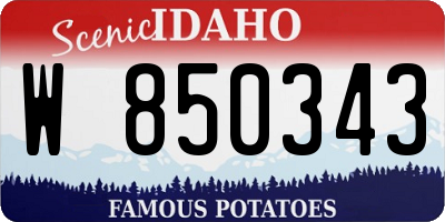 ID license plate W850343