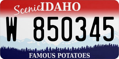 ID license plate W850345