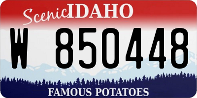ID license plate W850448