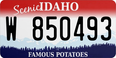 ID license plate W850493