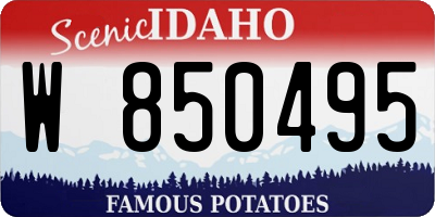 ID license plate W850495
