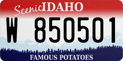 ID license plate W850501