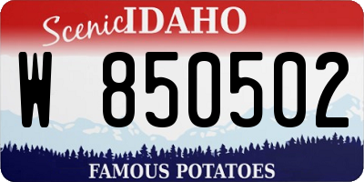 ID license plate W850502